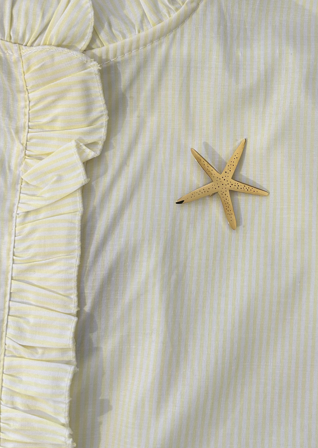 Broche étoile de mer