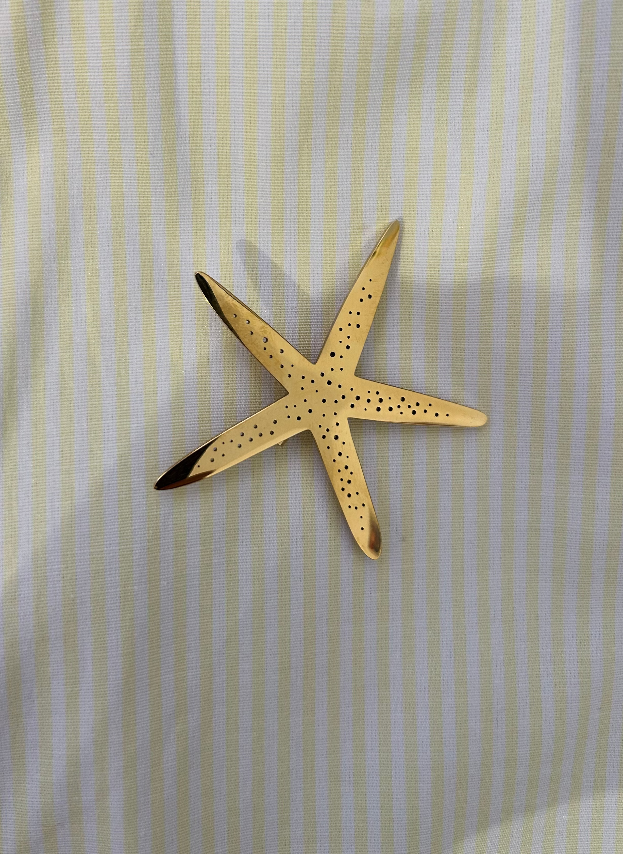 Broche étoile de mer