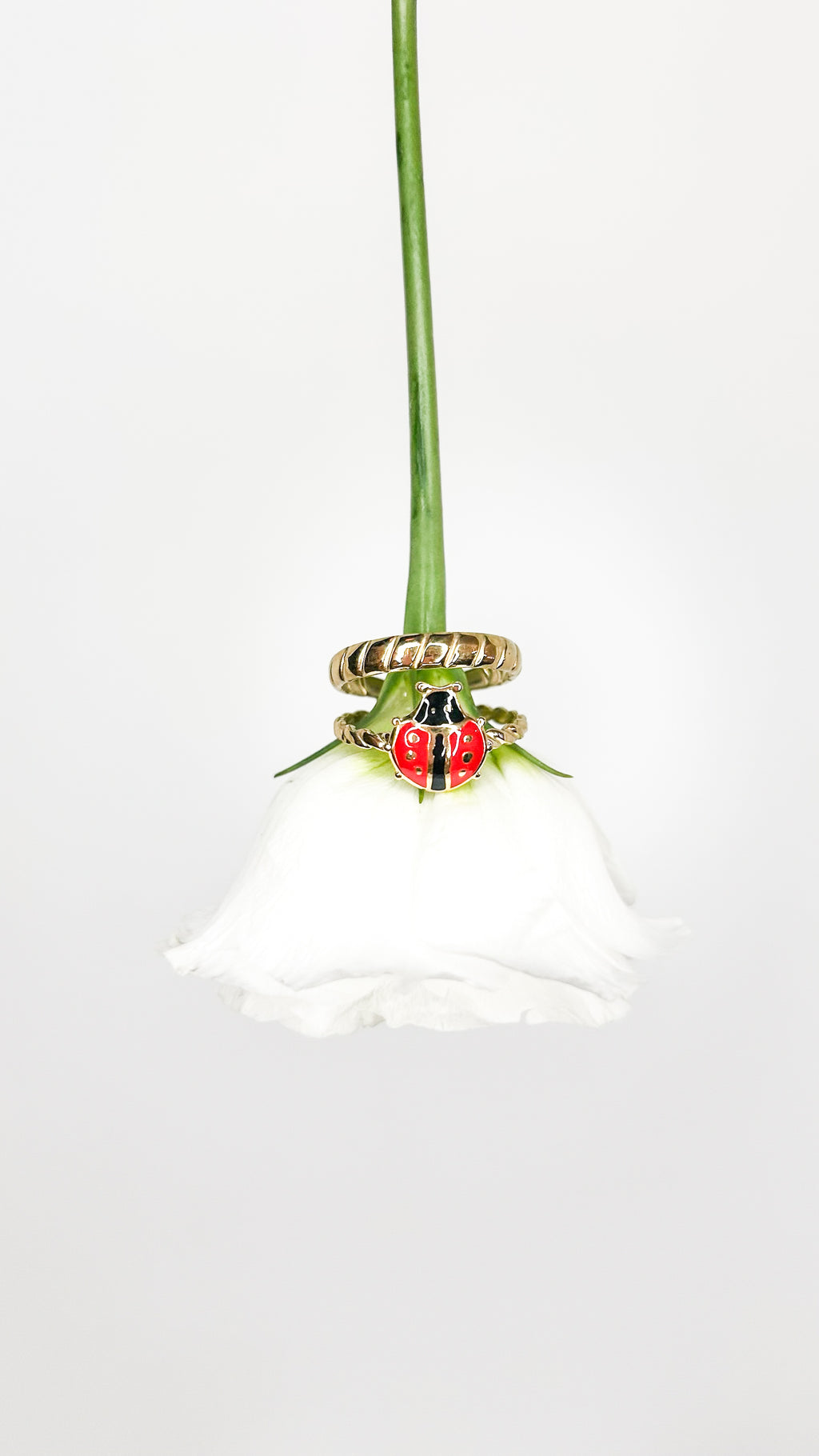 Bague  coccinelle