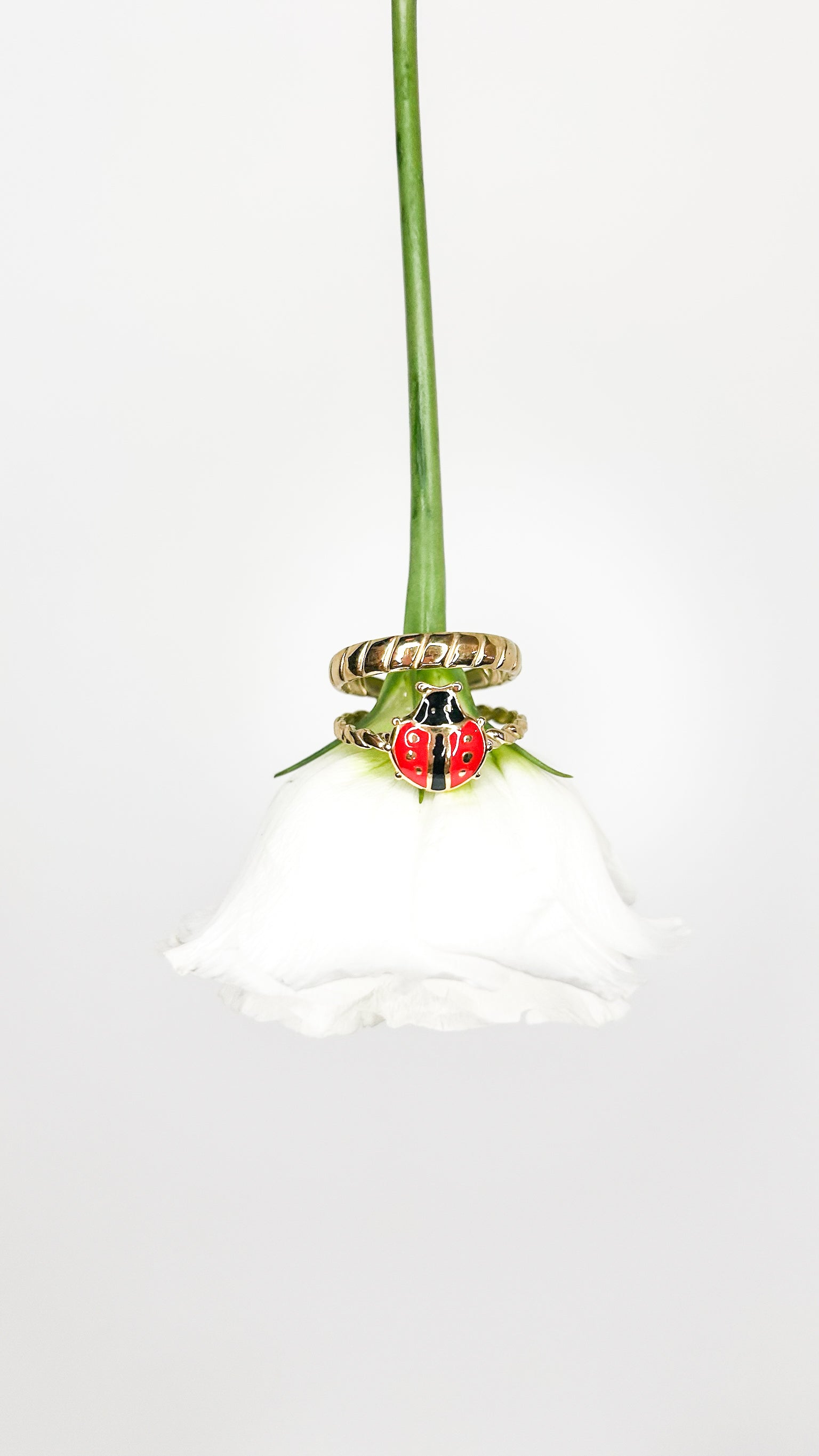 Bague  coccinelle